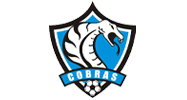 COBRAS